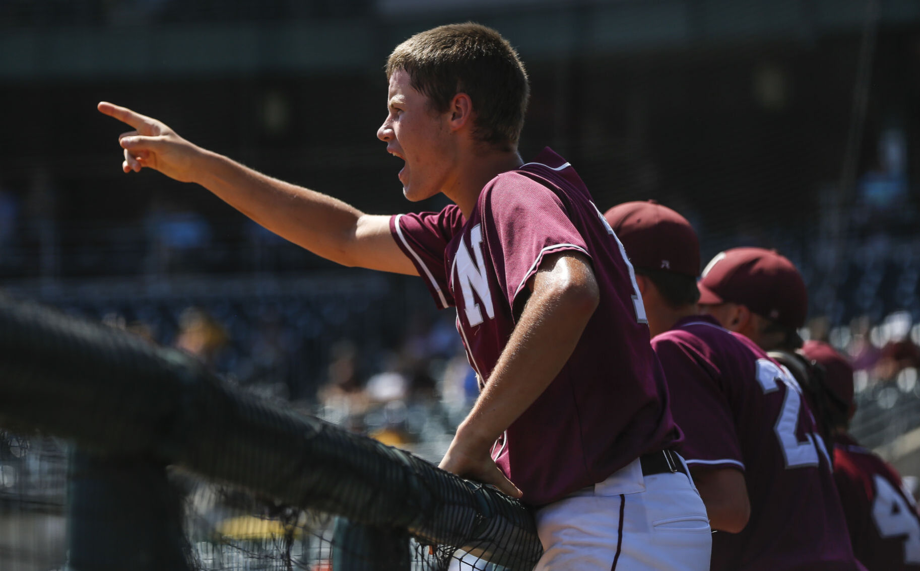 State Baseball Newman 12